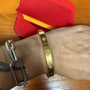 Gold stainless Steel Bracelet with CZ screw together